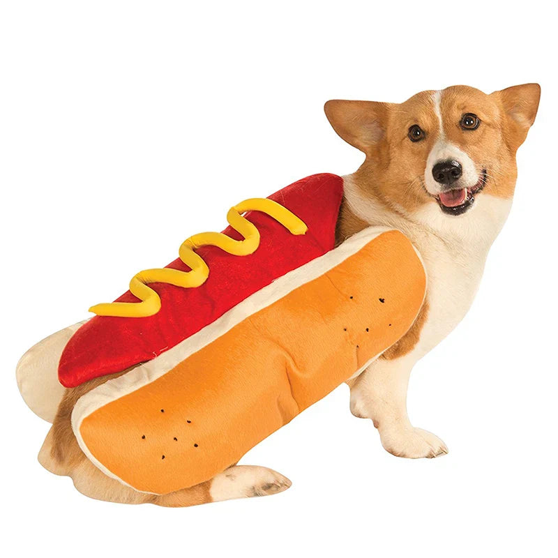 Pets Costume