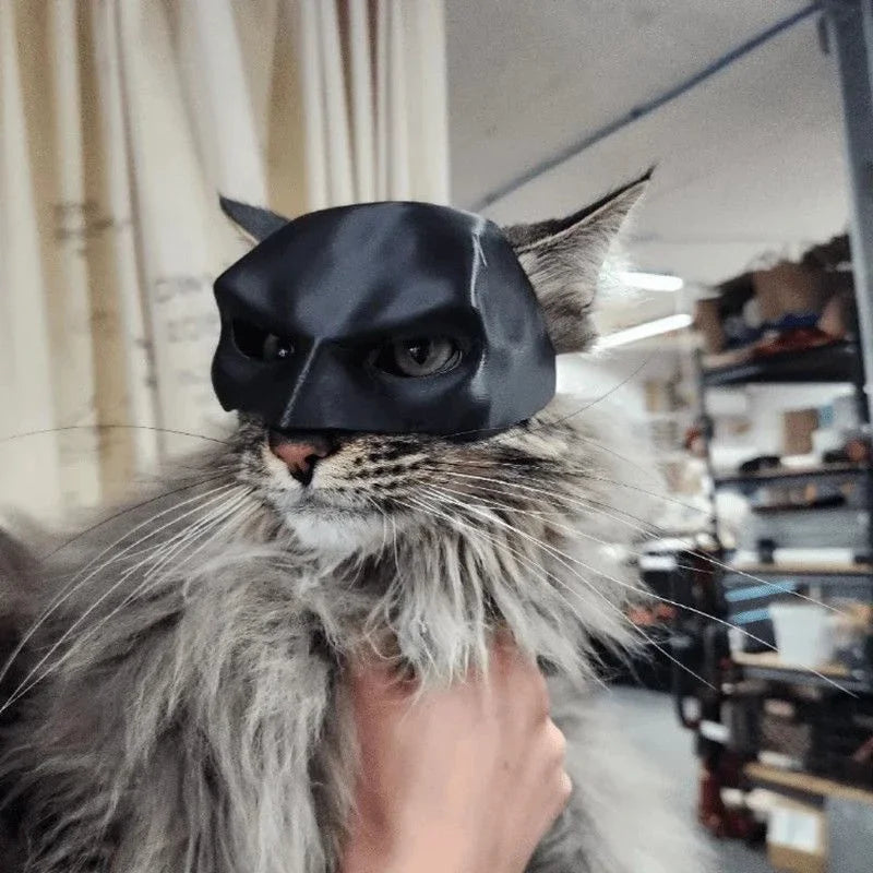 Bat Cat Avenger Mask: Funny Halloween Cosplay Hat for Cats