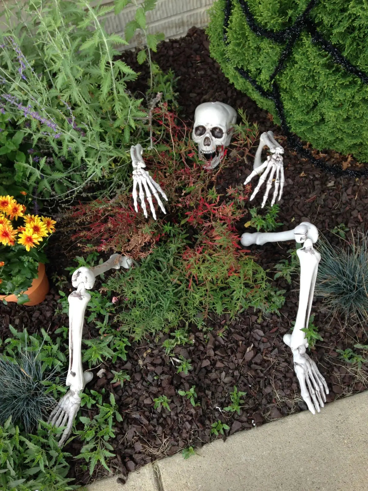 Realistic Skeleton Stakes: Skull, Hands & Arms for Halloween Lawn Decor