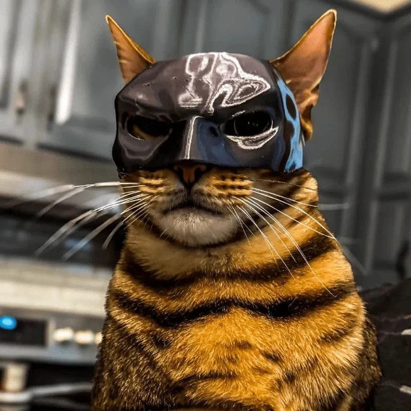 Bat Cat Avenger Mask: Funny Halloween Cosplay Hat for Cats