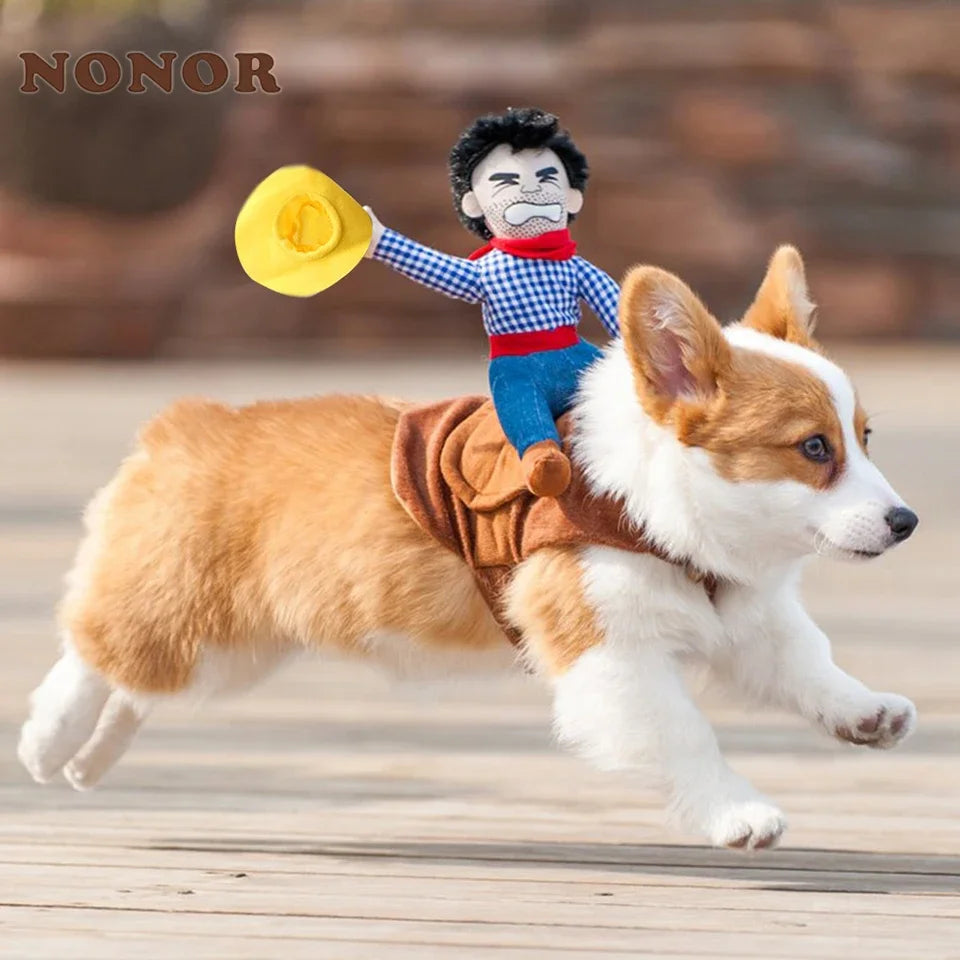 NONOR Funny Cowboy Dog Jacket: Halloween Pet Costume