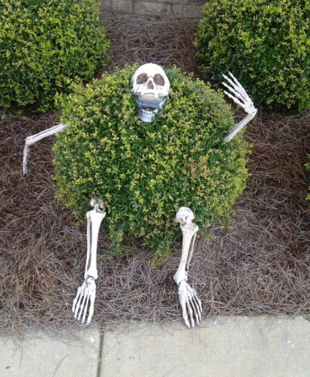 Realistic Skeleton Stakes: Skull, Hands & Arms for Halloween Lawn Decor
