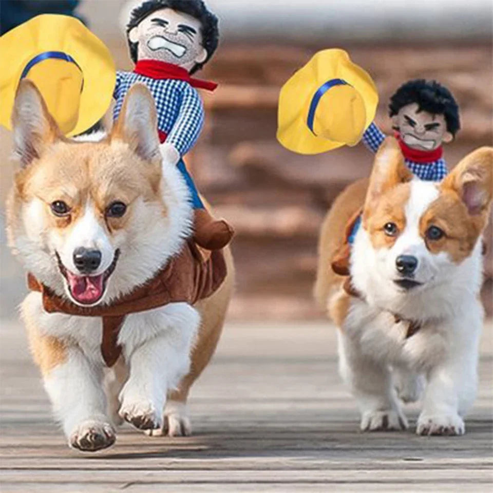 NONOR Funny Cowboy Dog Jacket: Halloween Pet Costume