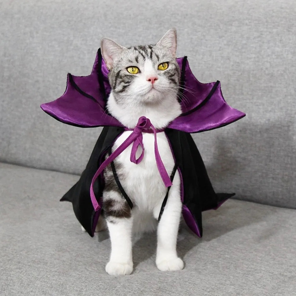 Bat Transformation Pet Cloak: Halloween Cat Cosplay Costume