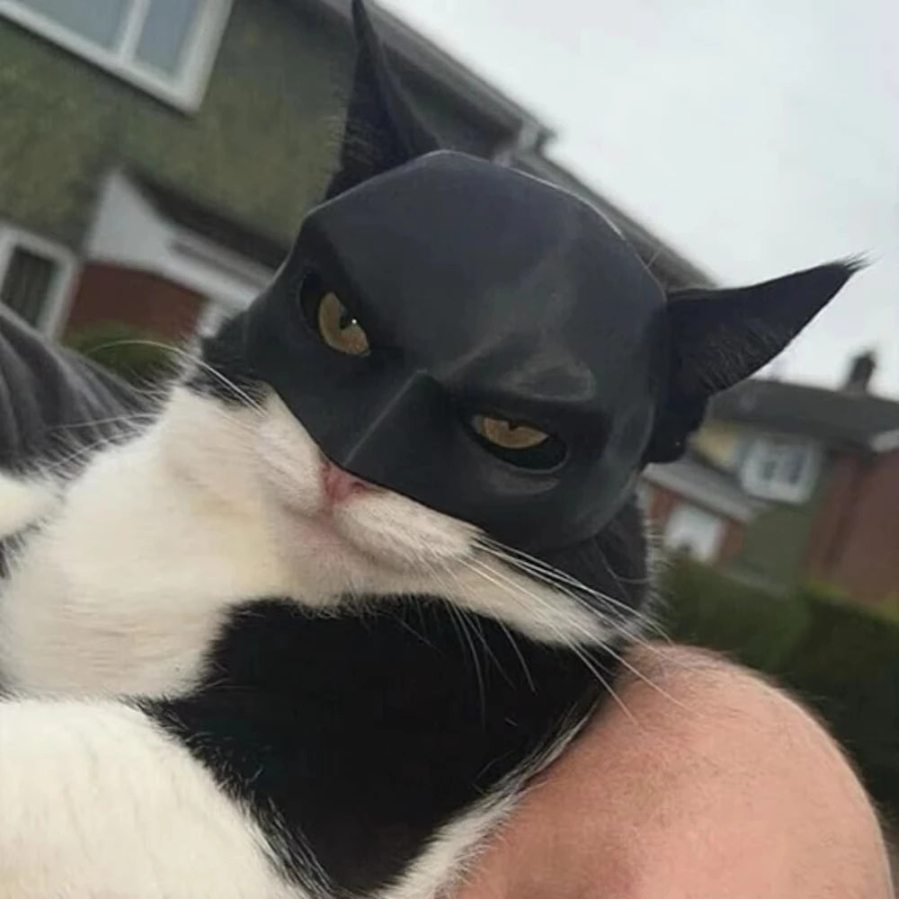 Bat Cat Avenger Mask: Funny Halloween Cosplay Hat for Cats